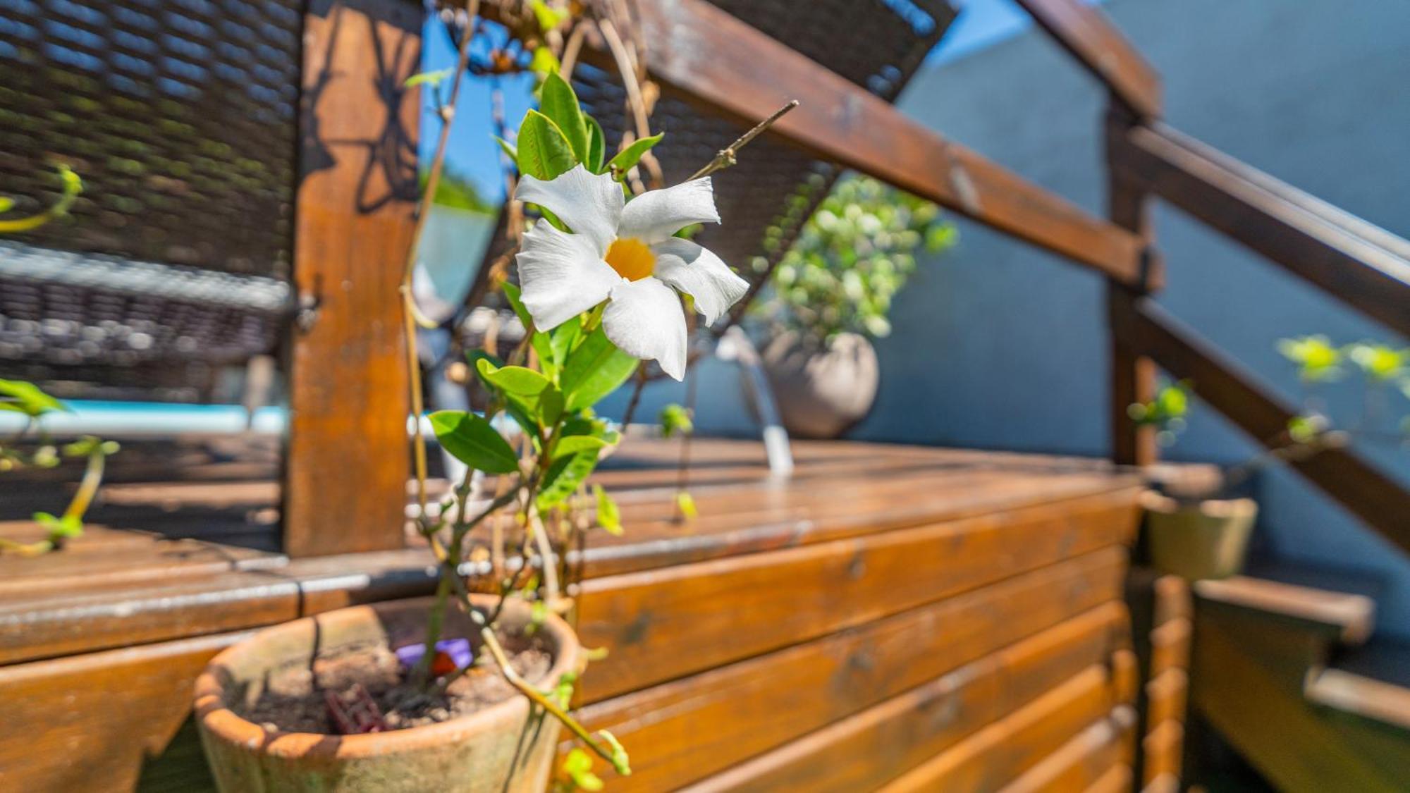 فيلا Residencial Com Piscina Possui Jacuzzi Aquecida Com Hidromassagem بومبينهاس المظهر الخارجي الصورة